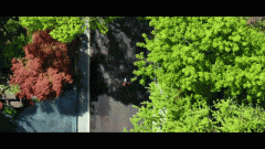 <b>产权登记是房地产管</b>